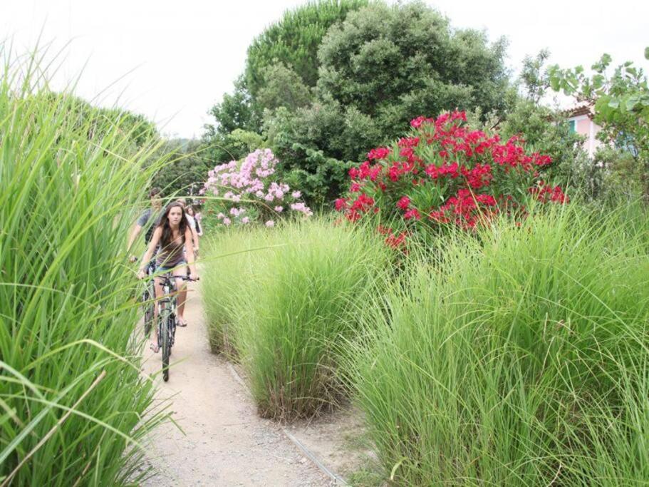 Les Restanques Bougainvillee 2051 Grimaud Exteriér fotografie