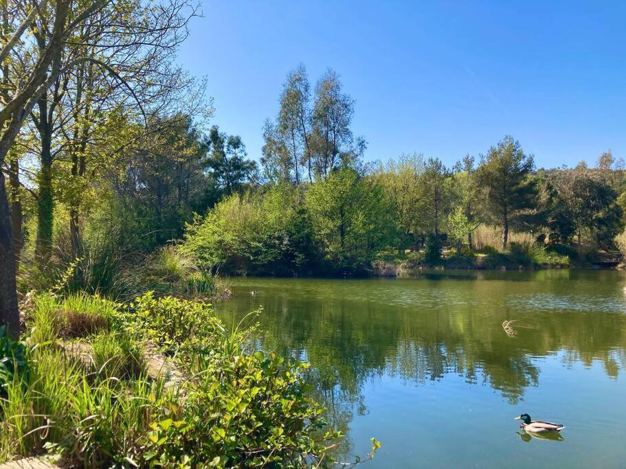 Les Restanques Bougainvillee 2051 Grimaud Exteriér fotografie